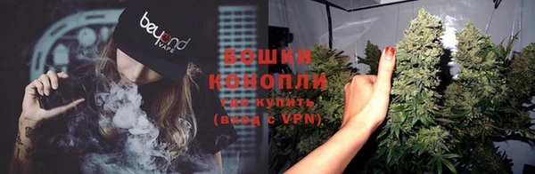 ПСИЛОЦИБИНОВЫЕ ГРИБЫ Белокуриха