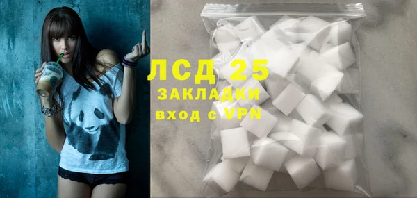 ПСИЛОЦИБИНОВЫЕ ГРИБЫ Белокуриха