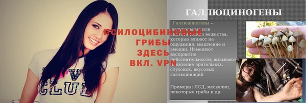 ПСИЛОЦИБИНОВЫЕ ГРИБЫ Белокуриха