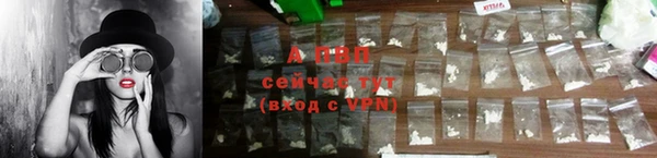 прущие грибы Белоозёрский