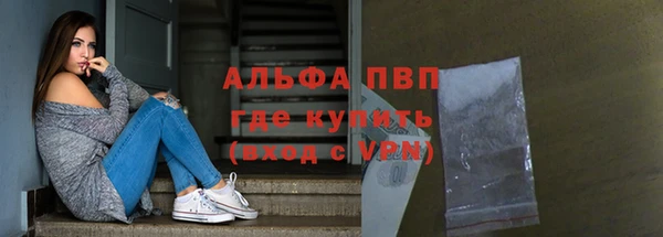 ПСИЛОЦИБИНОВЫЕ ГРИБЫ Белокуриха