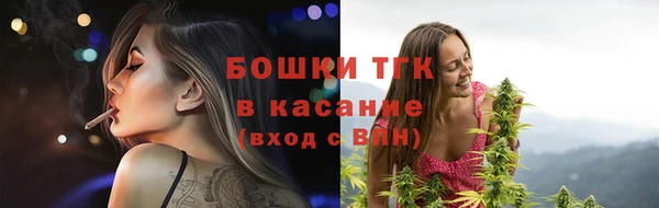 ПСИЛОЦИБИНОВЫЕ ГРИБЫ Белокуриха