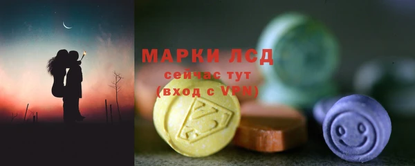 прущие грибы Белоозёрский