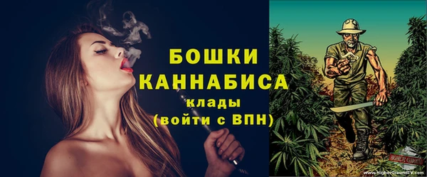 ПСИЛОЦИБИНОВЫЕ ГРИБЫ Белокуриха