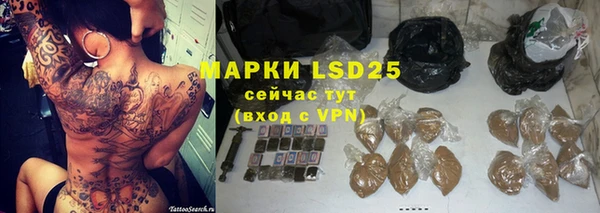 прущие грибы Белоозёрский