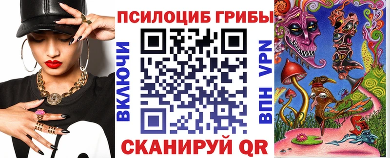 darknet клад где купить наркоту Семикаракорск Псилоцибиновые грибы Psilocybe